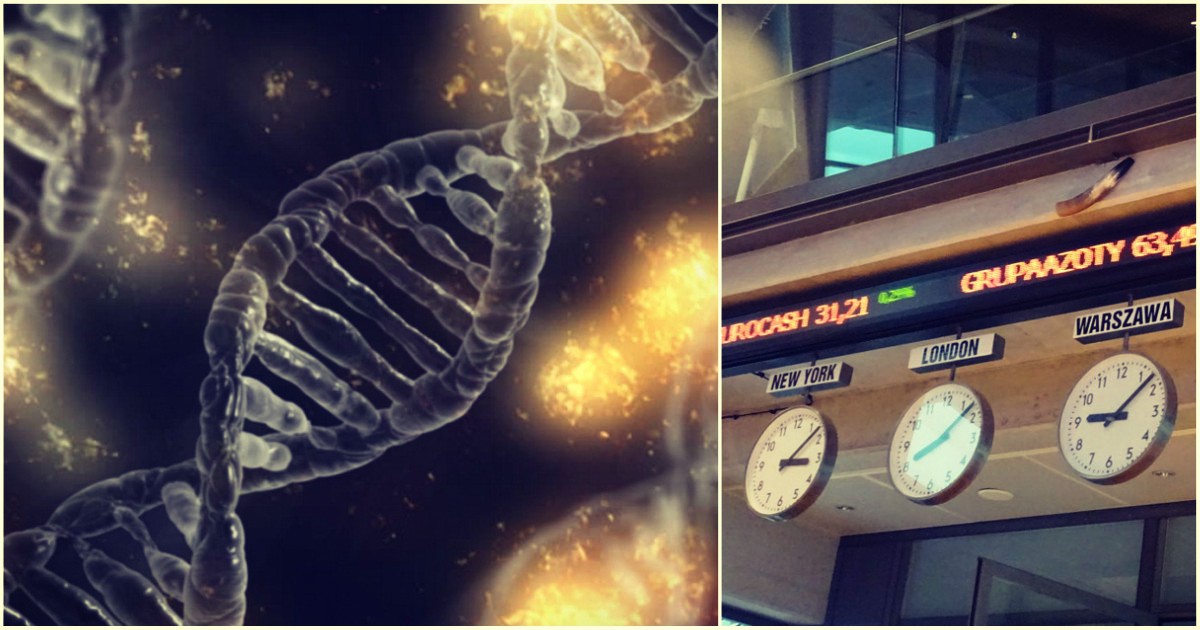 Podaj Dwie Zwiazane Z Biotechnologia Czynnosci Ktore Musieli Wykonac Biotechnologia na giełdzie. Dlaczego inwestycja w spółki z tej branży